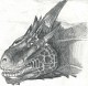 draco.jpg